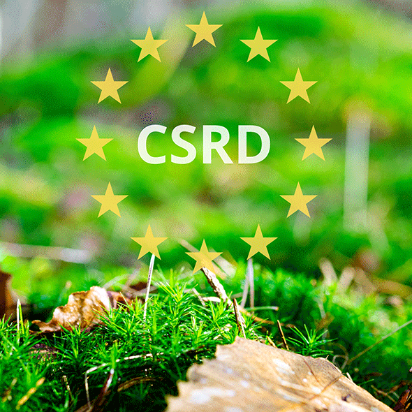 Bild kunde inte laddas in