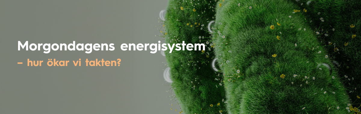 morgondagens energisystem