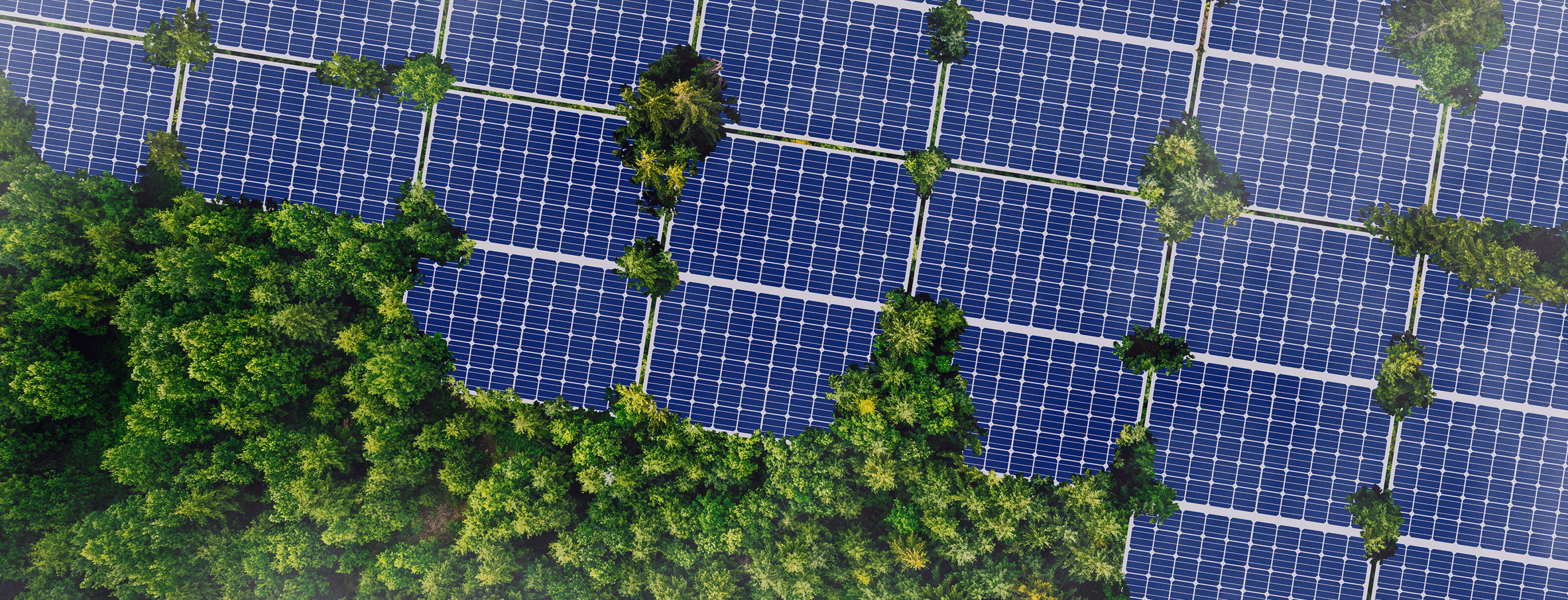 Konkurrenskraft i omställningen. Sopra Steria Insights