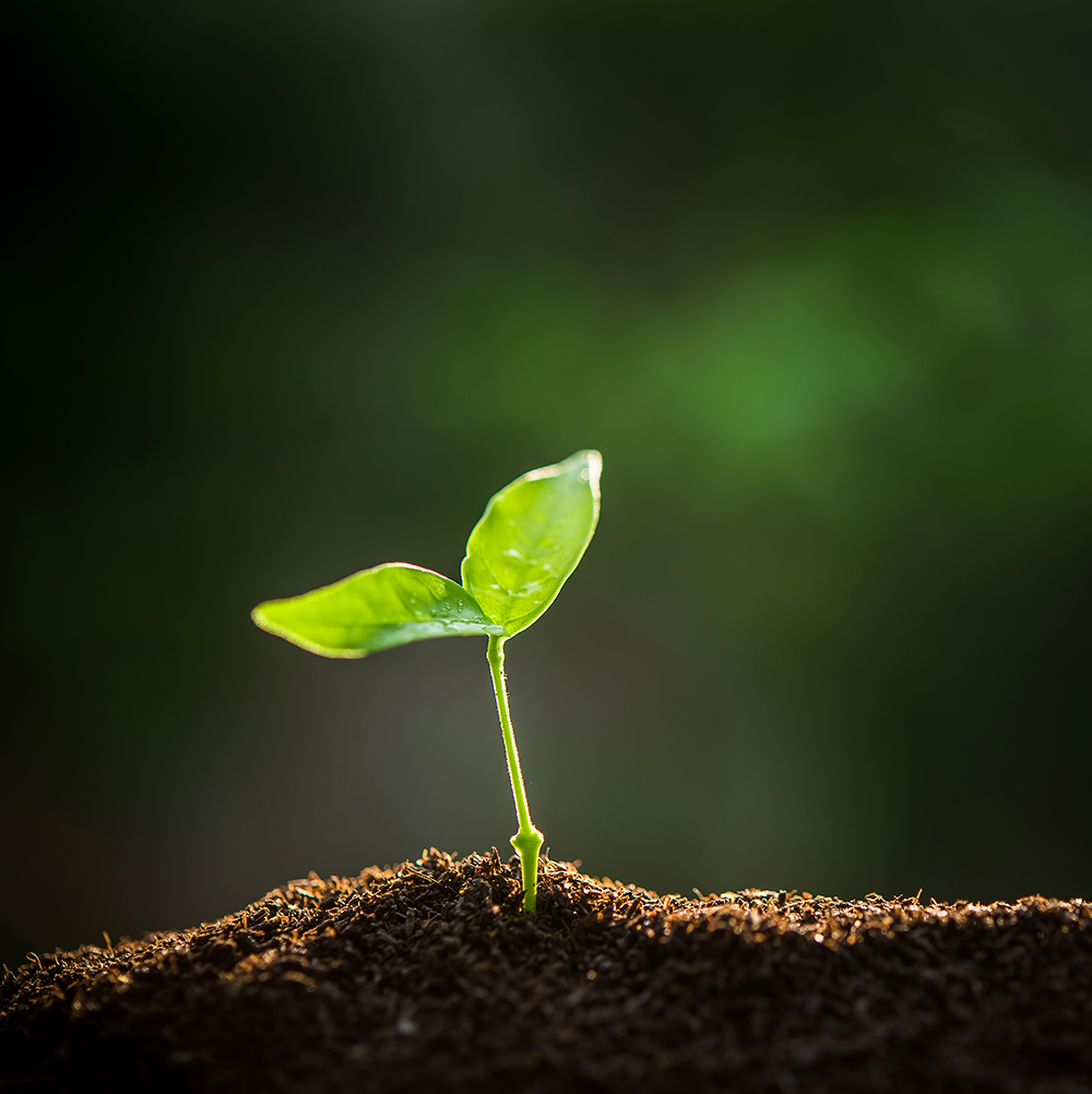 Bild kunde inte laddas in