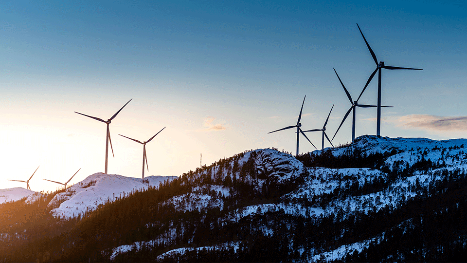 Bild kunde inte laddas in