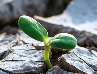 Bild kunde inte laddas in