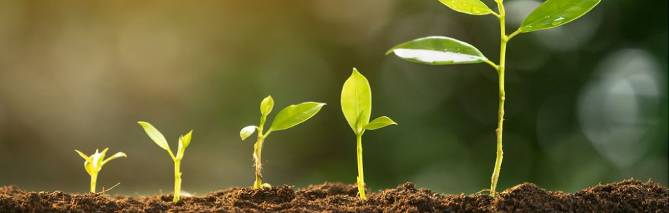 Bild kunde inte laddas in