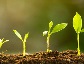 Bild kunde inte laddas in