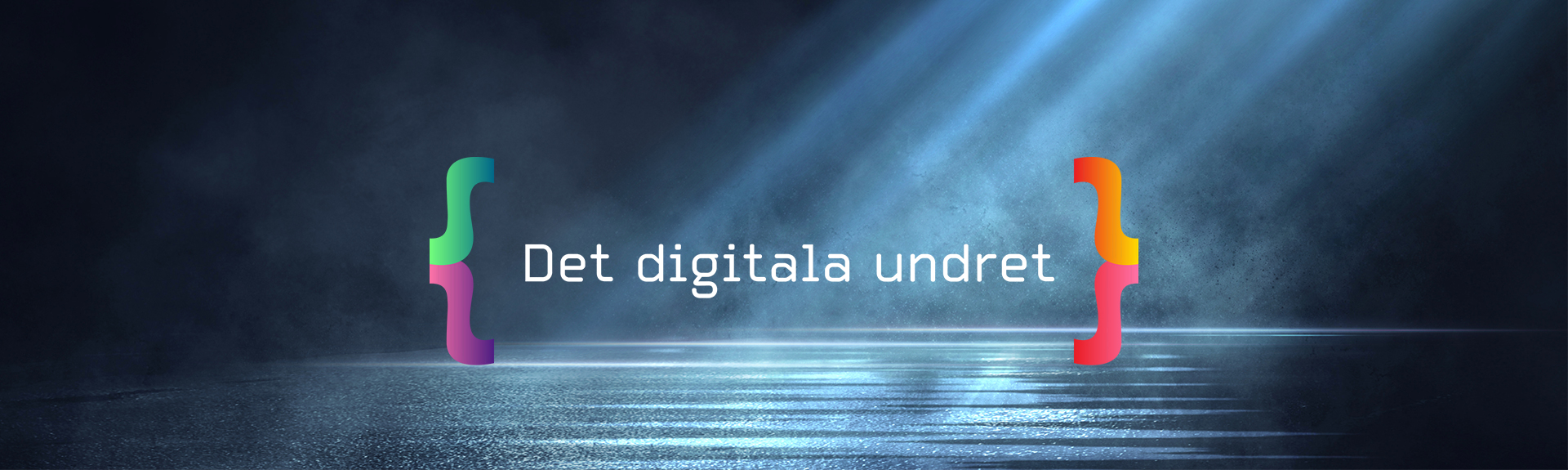 Det digitala undret
