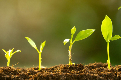 Bild kunde inte laddas in