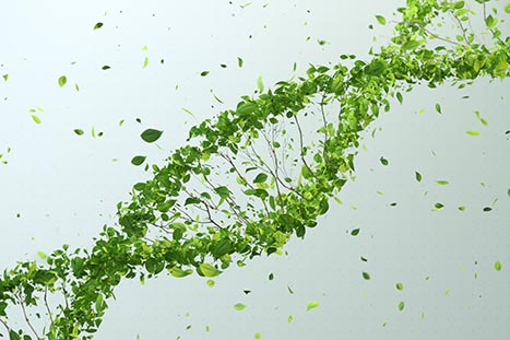 Bild kunde inte laddas in