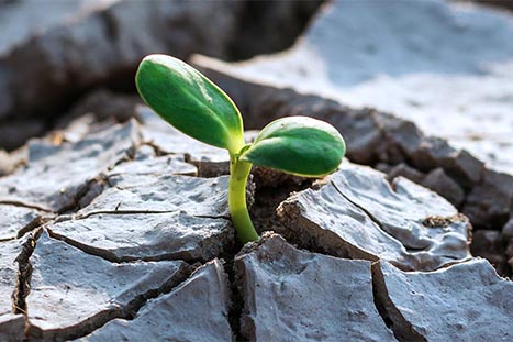 Bild kunde inte laddas in