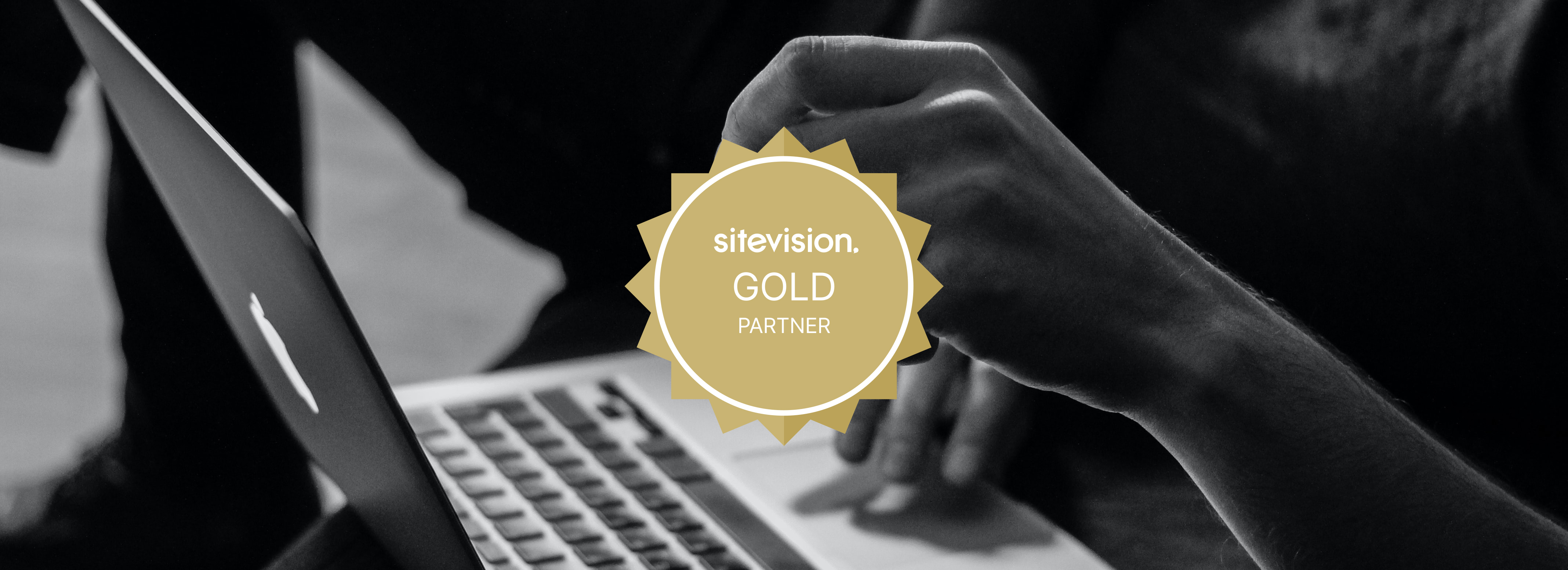 Sitevision guldpartner